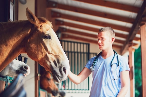veterinary-medicine-at-the-farm-2021-08-26-22-38-53-utc